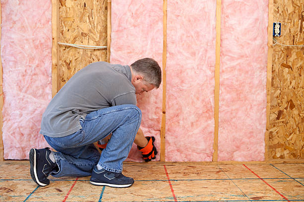Types of Insulation We Offer in Lake Grove, NY